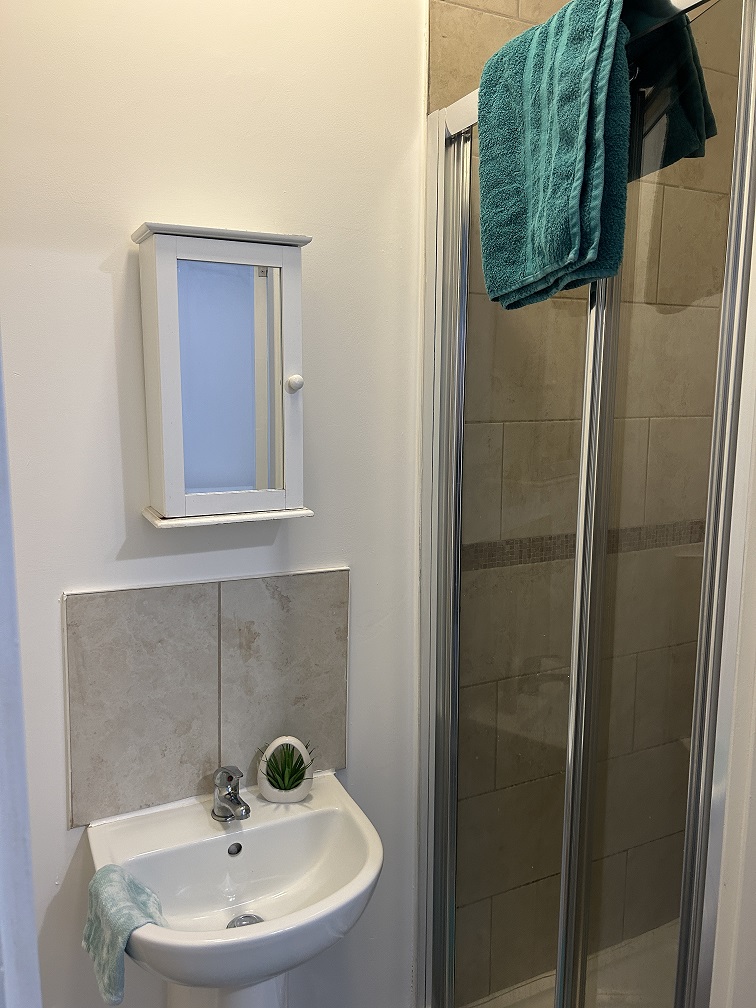 259 Shoreham Street - Image 11